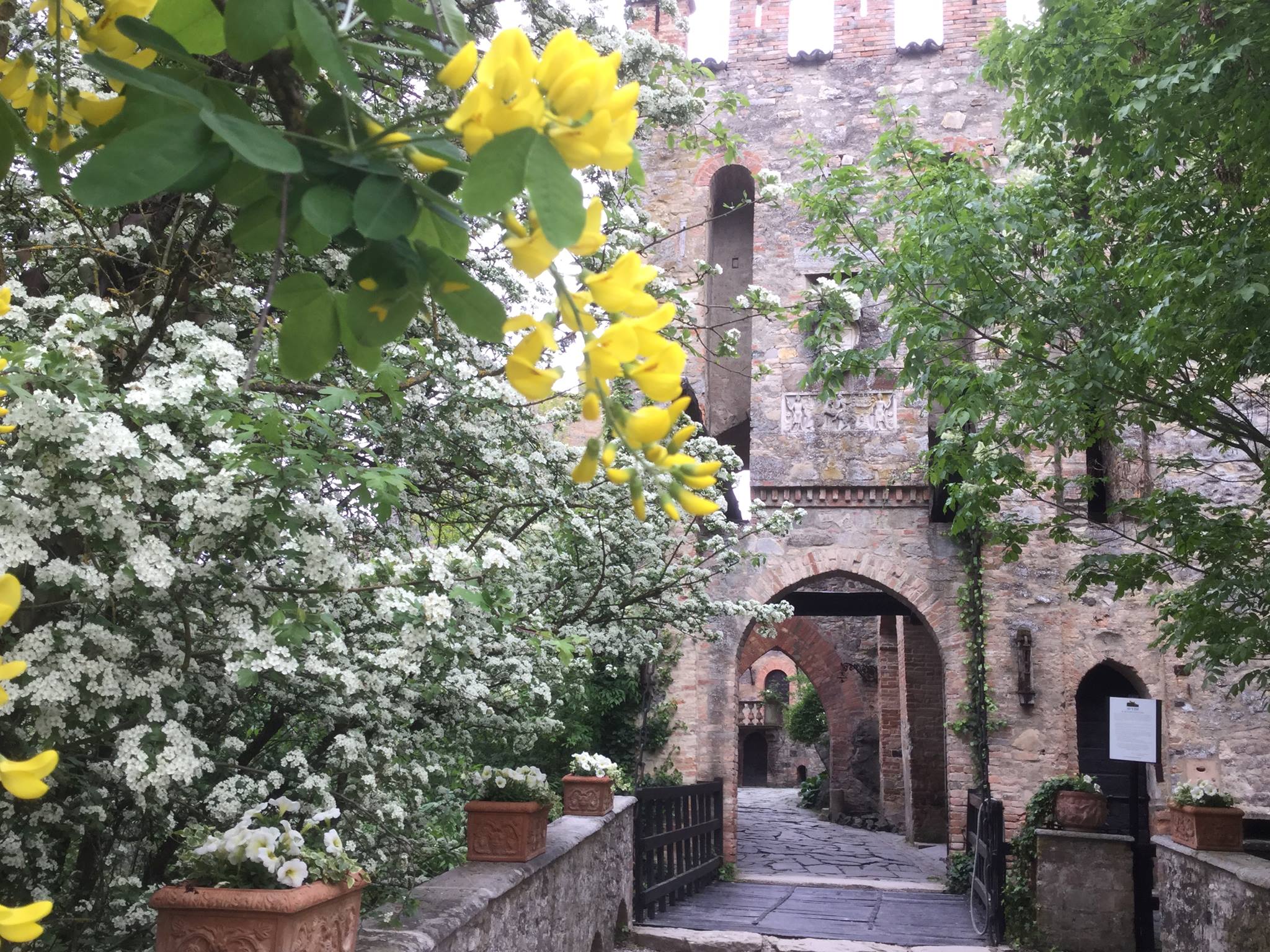 Risultati immagini per CASTELLO DI GROPPARELLO